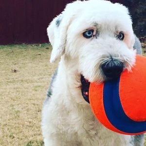 Meet your Posher, Connie